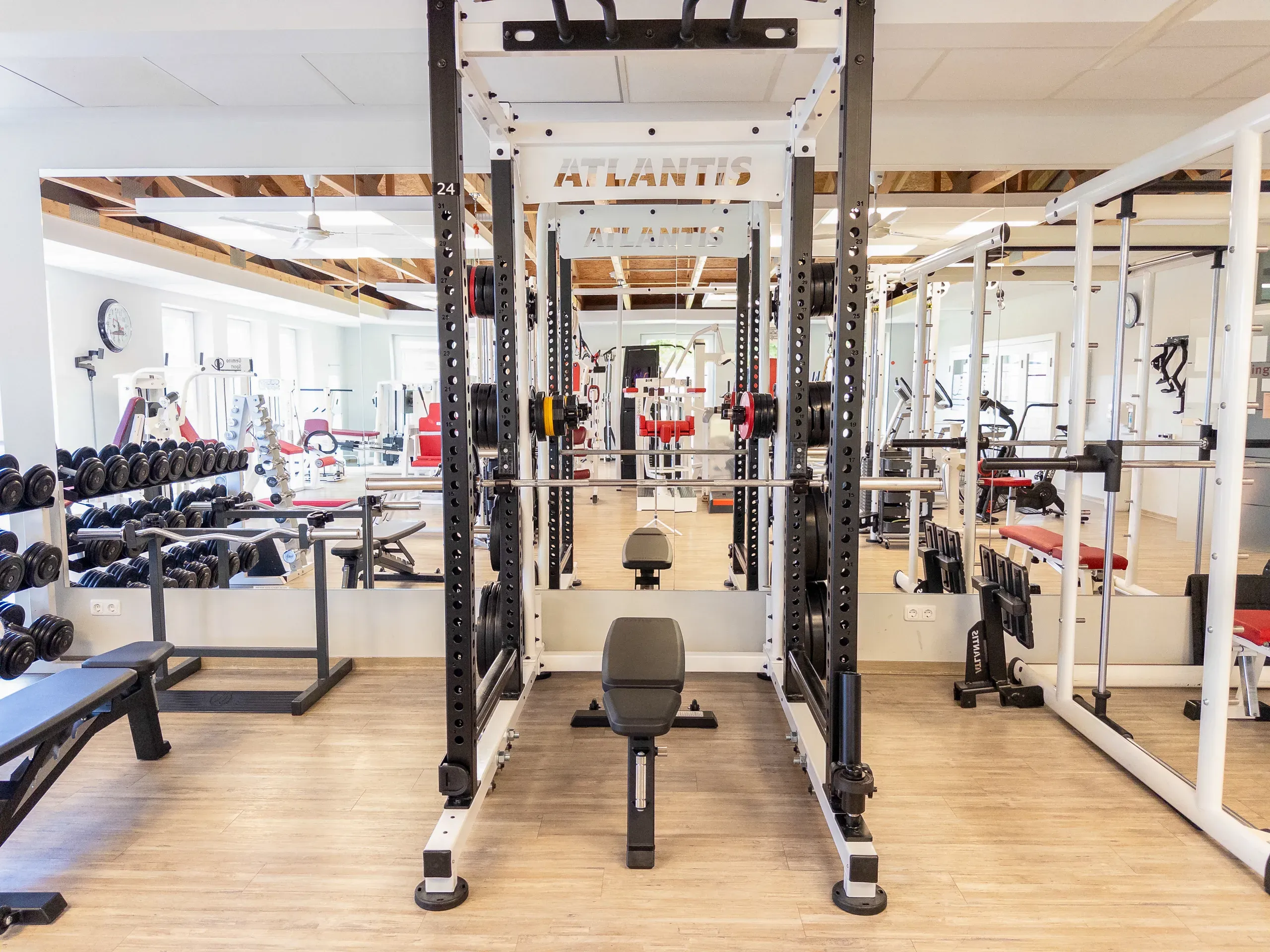 Kraftraum mit Power Rack und Kurzhantelregal